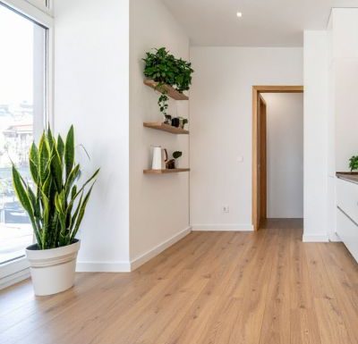Intérieur lumineux et minimaliste avec parquet clair et plantes vertes illustrant une gestion réfléchie d’un bien immobilier